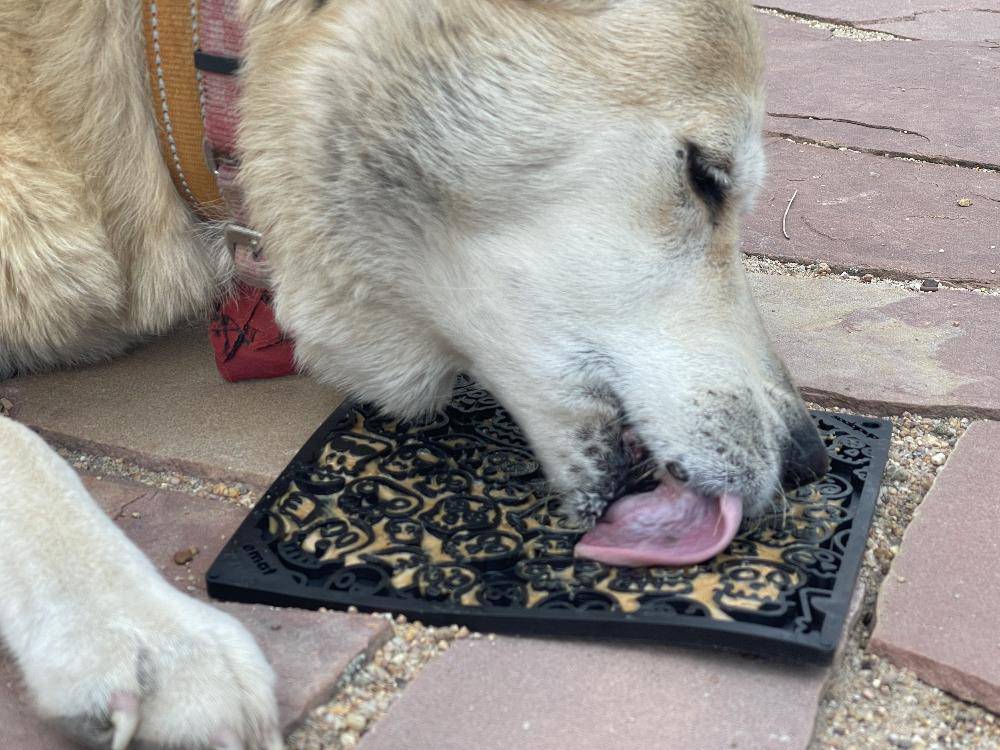 Anxious Dog: Try this Relief Enrichment Halloween Lick Mat (Orange or Black)