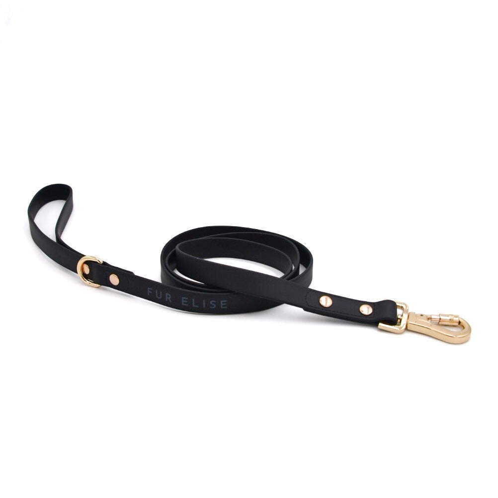 The Ultimate 3-Pc Walk Set - (Noir Black) (XS-L) - Dog