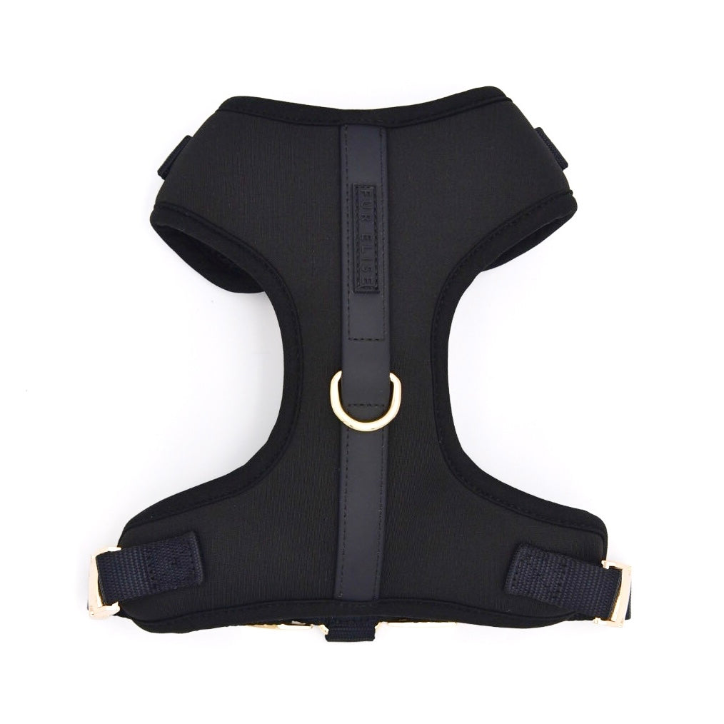 The Ultimate 3-Pc Walk Set - (Noir Black) (XS-L) - Dog
