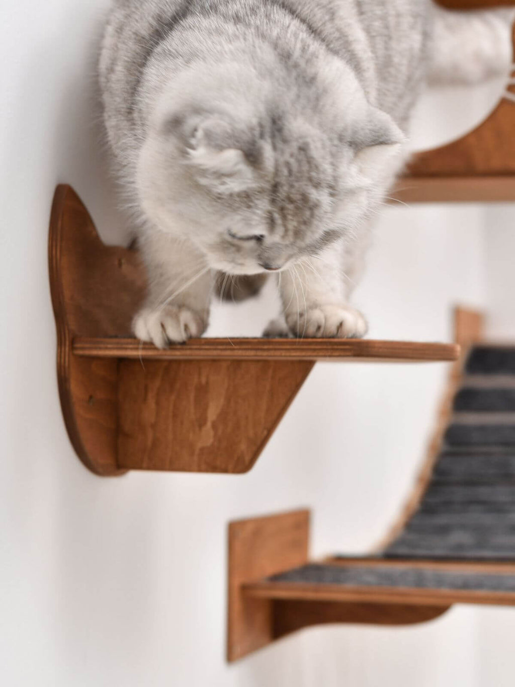 Wall Climbing Steps - Cats - (Wall Mounted) - (CatsMode) - (4 Color Options) - (3 Designs)